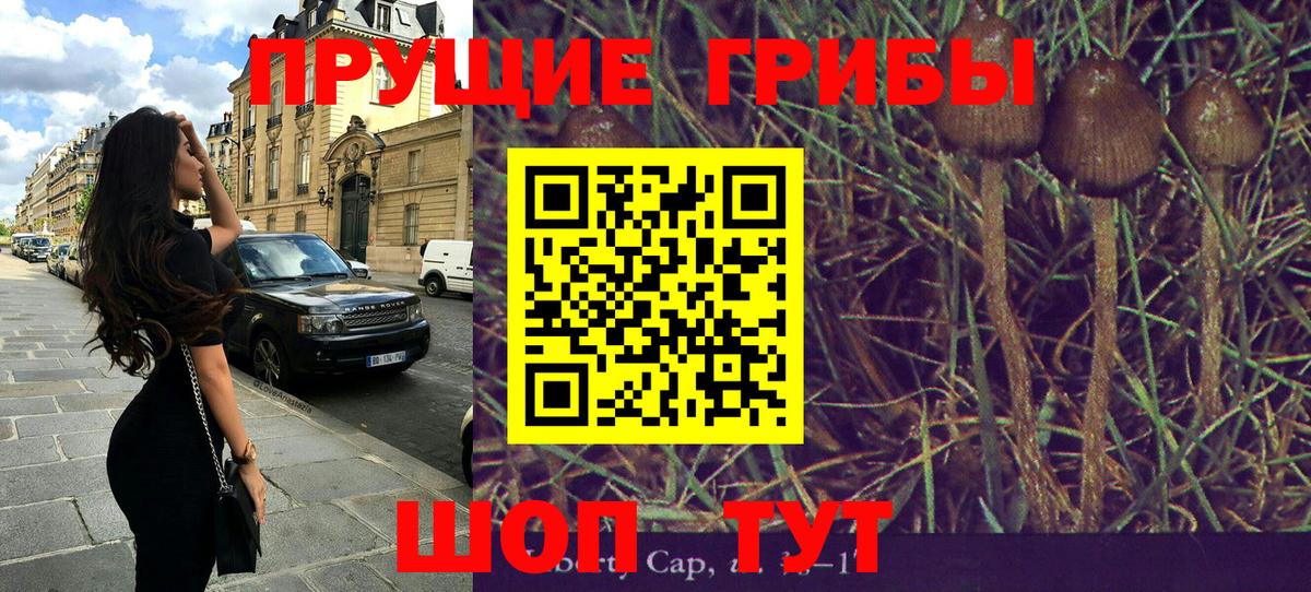Псилоцибиновые грибы Psilocybe Советский